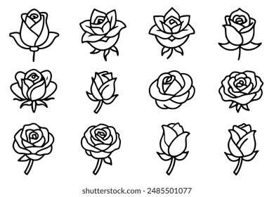 Classic rose line art design delicate artwork