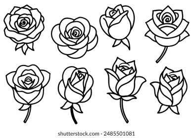 Classic rose line art design floral artwork