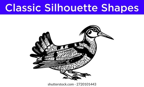 Vector de pájaro de silueta clásica de fondo blanco
