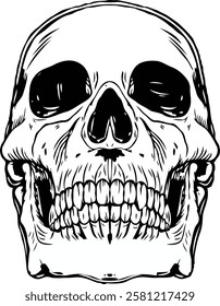 Classic skull face. Vector illustration. Monochrome hand drawn style