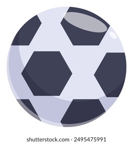 Classic soccer ball is waiting to be kicked during a soccer game