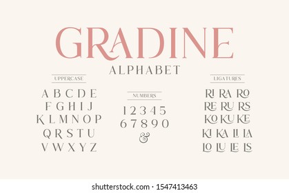 Classic Typography Elegant. Alphabet And Numbering  Uppercase. Vector Illustration Word.