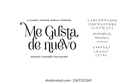 Classic typography serif font. Uppercase, lowercase, and alternate. Vector illustration word. Lettering Minimal Fashion Designs Romance Elegant.