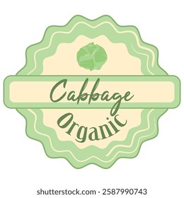 Classic vegetable label tag or sticker with fresh white cabbage.
