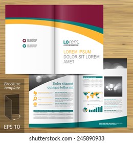 Classic white brochure template design with color waves. Cover layout