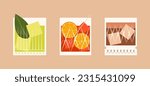 Classical aperitif in old fashioned crystal glasses. Set of alcoholic drinks in rocks glasses. Vector illustration for bar card.