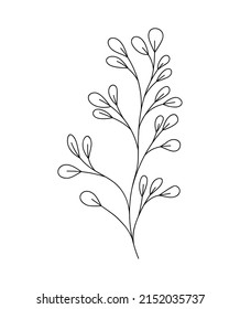 classical branch design over white