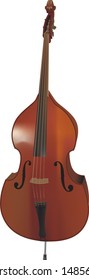 
Classical cello on a white background. Vector graphics