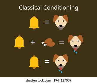 Classical Conditioning Or Pavlovian Or Respondent Conditioning For Learning New Stimulus