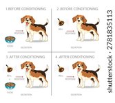 Classical Conditioning Process with Dog and Bell Stimulus Illustration. Educational illustration explaining Pavlov classical conditioning experiment with dog, bell, food, salivation response, and behaviour learning process.