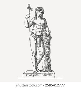 Classical engraving of Dionysus (Bacchus), Greek god of wine and revelry, holding a thyrsus staff. Features grapes and ivy.