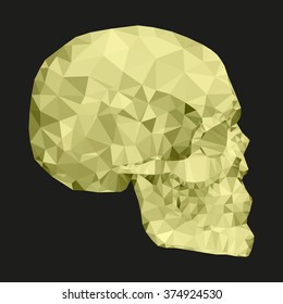 the classical gold skull which shines and is poured on light