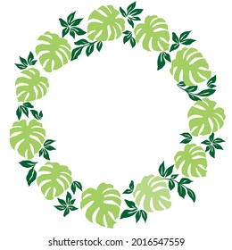 Ilustraciones clásicas vintage de hojas de monstera, ornamentos, fondo