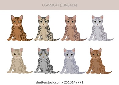 Classicat, Jungala Cat Clipart. Alle Fellfarben eingestellt.  Alle Katze Rassen Merkmale Infografik. Vektorgrafik