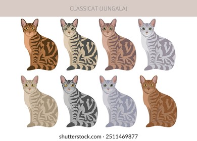 Classicat, Jungala Cat Clipart. Alle Fellfarben eingestellt.  Alle Katze Rassen Merkmale Infografik. Vektorgrafik