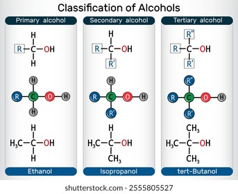 Classification of alcohols. Primary, secondary, tertiary alcohol with ethanol, isopropanol, tert-butanol molecules. Vector illustration