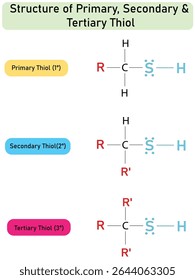 Classificação dos álcoois Diagrama estrutural primário, secundário, terciário do tiol. molécula de composto orgânico ilustração científica sobre fundo branco.