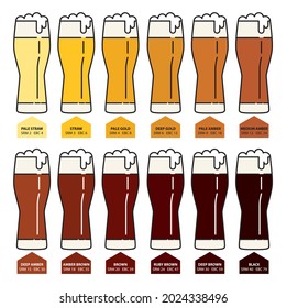 Classification of beer by color. 12 main varieties of beer color in glass glasses with foam. Vector illustration isolated on a white background for design and web.