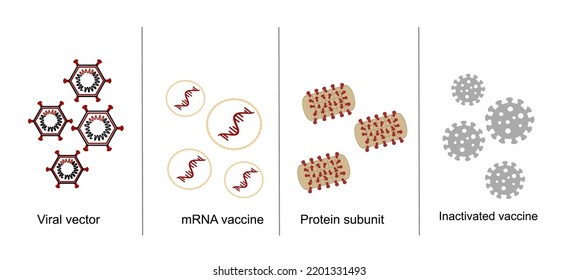 The classification of COVID-19 vaccines in current uses: Viral vector, mRNA, Protein subunits and inactivated virus that represent in icon concept.