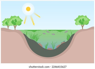 classification of degradation water quality algae productivity life salt system excess waste plant oxygen depletion marine