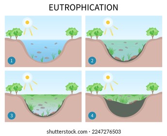 Etapa de clasificación del proceso de eutrofización del ecosistema y envenenamiento ambiental en lago o agua