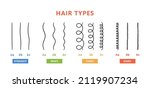 Classification of hair types - straight, wavy, curly, kinky. Scheme of different types of hair. Curly girl method. Vector illustration on white background.