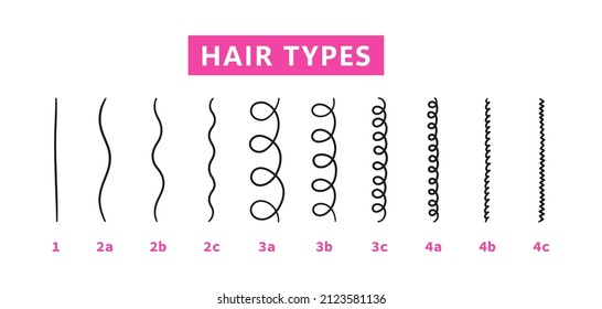 Classification of hair types - straight, wavy, curly, kinky. Scheme of different types of hair. Curly girl method. Vector illustration on white background.