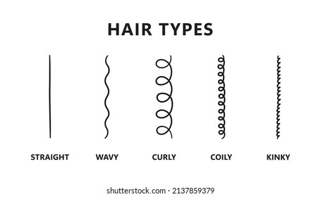 Classification of hair types - straight, wavy, curly, coily, kinky. Scheme of different types of hair. Curly girl method. Vector illustration on white background.