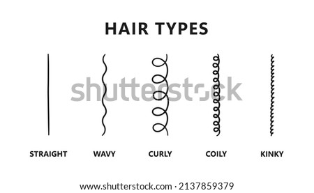 Classification of hair types - straight, wavy, curly, coily, kinky. Scheme of different types of hair. Curly girl method. Vector illustration on white background.