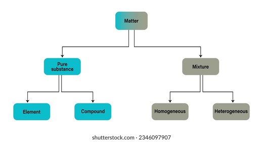 Classification of Matter Elements, Compounds, Mixtures, Homogeneous vector illustration.