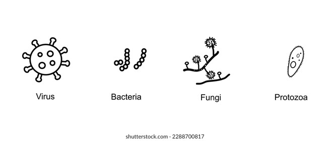 The classification of microorganism that Picture shows 4 types of Virus, Bacteria, Fungi, Protozoa in the concept of black icon.