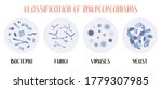 Classification of microorganisms: bacteria, fungi, viruses, yeast. Microbiology. Vector flat illustration
