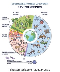 Classification of plant kingdom with estimated species count outline diagram. Labeled educational living wildlife quantity from each family vector illustration. Ecosystem diversity amount explanation.