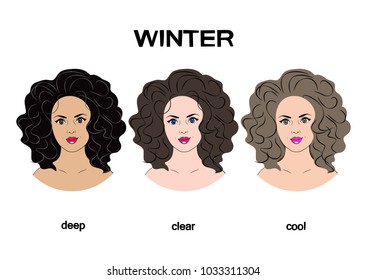 Classification Types Appearance One Four Types Stock Vector (royalty 