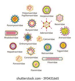 Classification of viruses. Enveloped viruses, Nonenveloped viruses. Vector biology icons, medical virus icons.