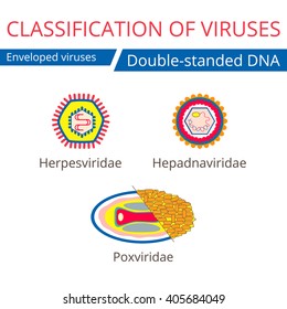 Classification of viruses. Enveloped viruses. Vector biology icons