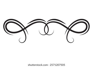 classy decorative elegant border icon isolated