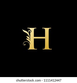 Classy Elegant H Letter Logo