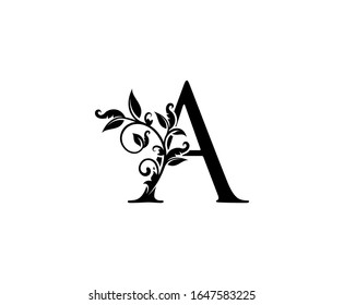 Classy Elegant letter A. Graceful royal style. Calligraphic beautiful logo. Vintage drawn emblem for book design, weeding card, brand name, business card, Restaurant, Boutique, Hotel. 