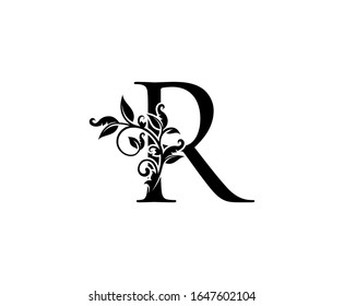 Classy Elegant letter D. Graceful royal style. Calligraphic beautiful logo. Vintage drawn emblem for book design, weeding card, brand name, business card, Restaurant, Boutique, Hotel. 