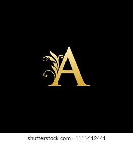 Classy Elegant A Letter Logo