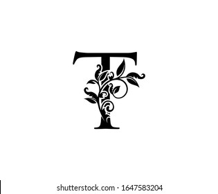 Classy Elegant Letter T Graceful Royal Stock Vector (Royalty Free ...