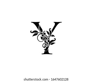 Classy Elegant letter Y. Graceful royal style. Calligraphic beautiful logo. Vintage drawn emblem for book design, weeding card, brand name, business card, Restaurant, Boutique, Hotel. 