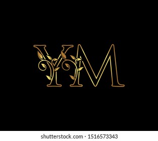 Y M High Res Stock Images Shutterstock