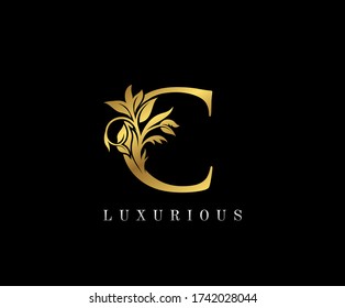 Classy Golden C Letter Floral logo. Vintage drawn emblem for book design, weeding card, label, business card, Restaurant, Boutique, Hotel. 
