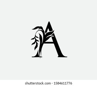Classy A Letter Luxury Logo. Initial  A With Floral Shape design perfect for fashion, Jewelry, Beauty Salon, Hotel, Cosmetics, Spa, Resort and Restaurant Logo Icon. 