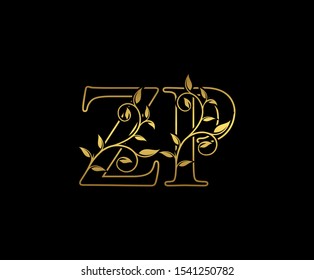 Classy letter Z and P, ZP, vintage decorative ornament emblem badge, overlapping monogram logo, elegant luxury  gold color on black background.