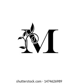 Classy M Letter Luxury Logo Letter Stock Vector (Royalty Free ...