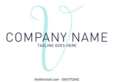 Classy Modern Sophisticated Bold Letter V Logo