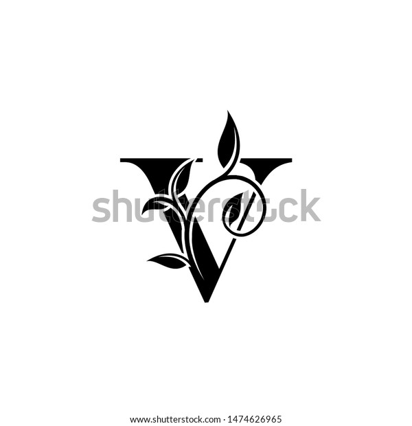 Classy V Letter Luxury Logo Letter Stock Vector Royalty Free 1474626965